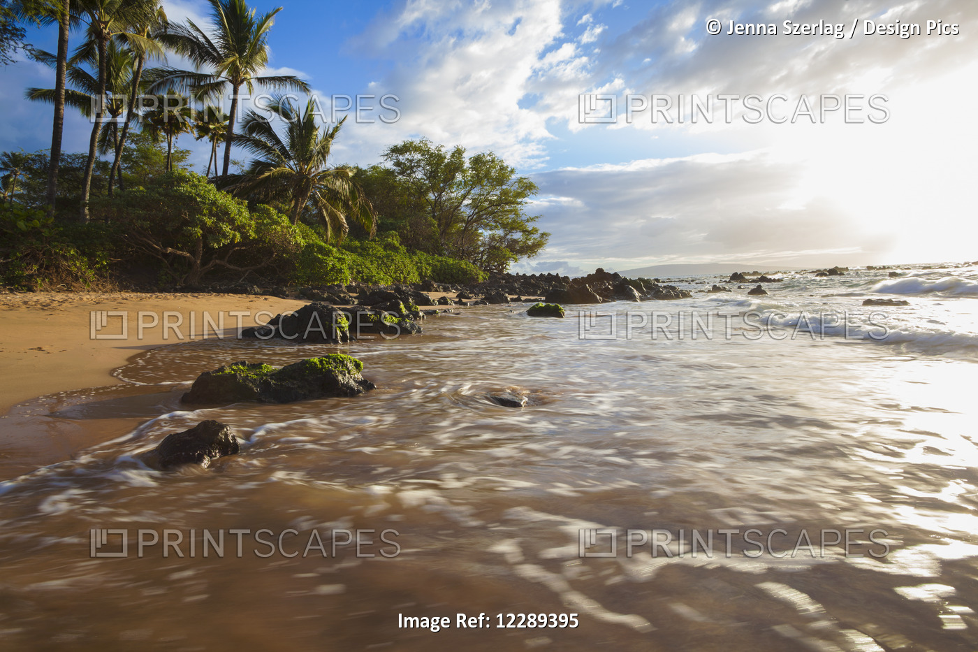Mokapu Beach At Sunset With Palm Trees; Maui, Hawaii, United States Of America