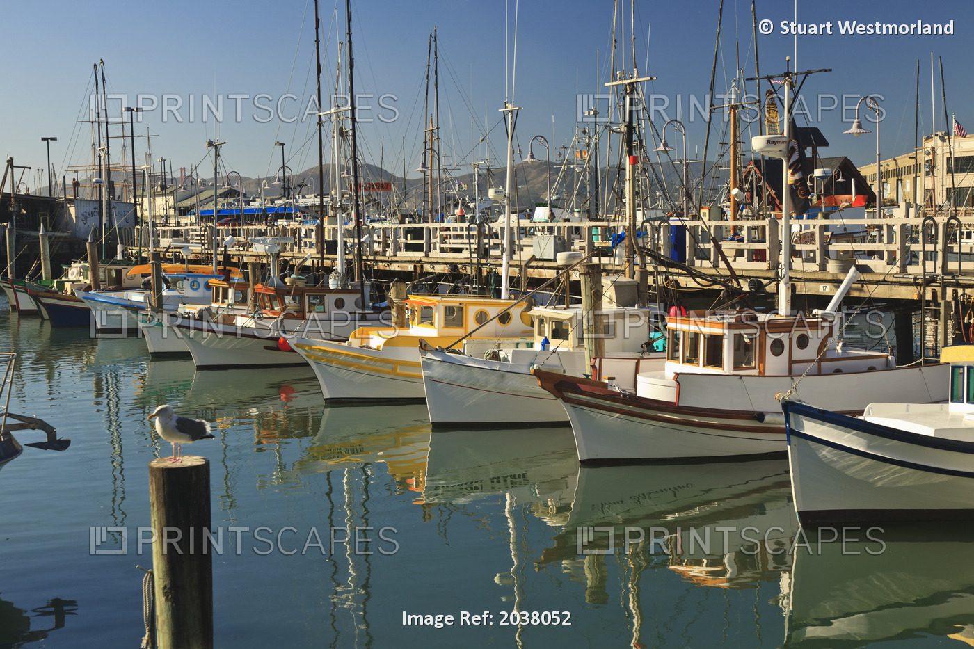 Fishermen's Terminal; San Francisco California United States Of America