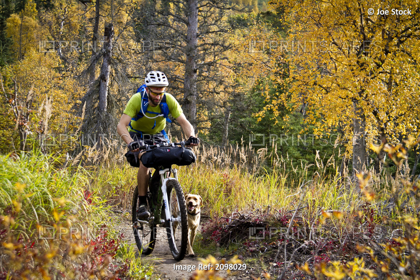Man Mountain Biking With Dog Running Beside Him, Anchorage Hillside Trails, ...