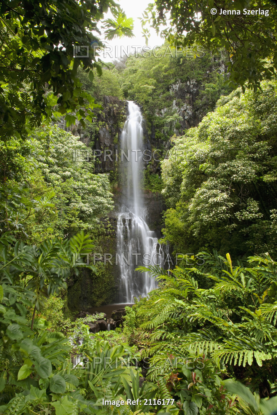 Hawaii, Maui, Hana, Wailua Falls and lush foliage.