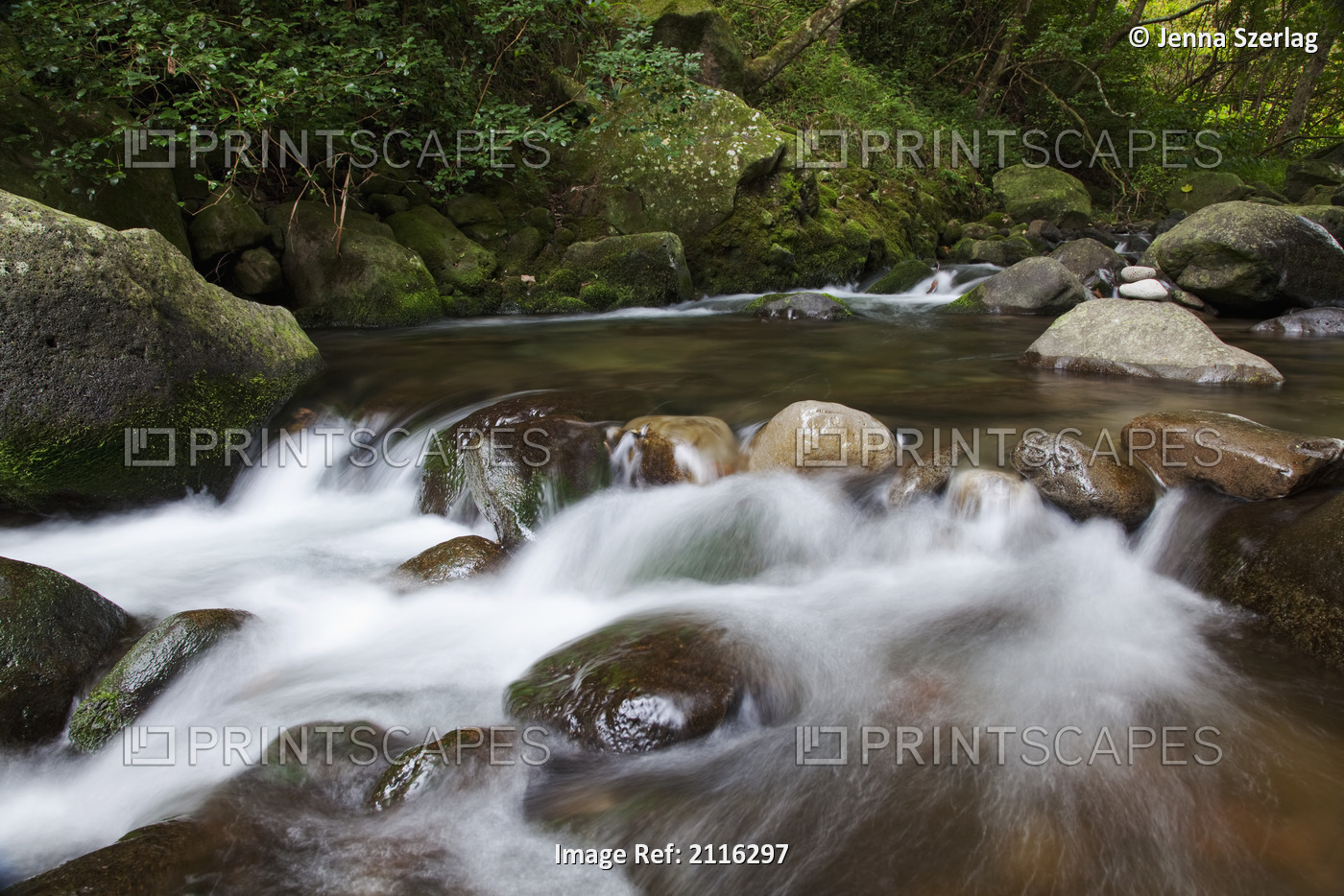Hawaii, Maui, Iao River Valley stream in motion.