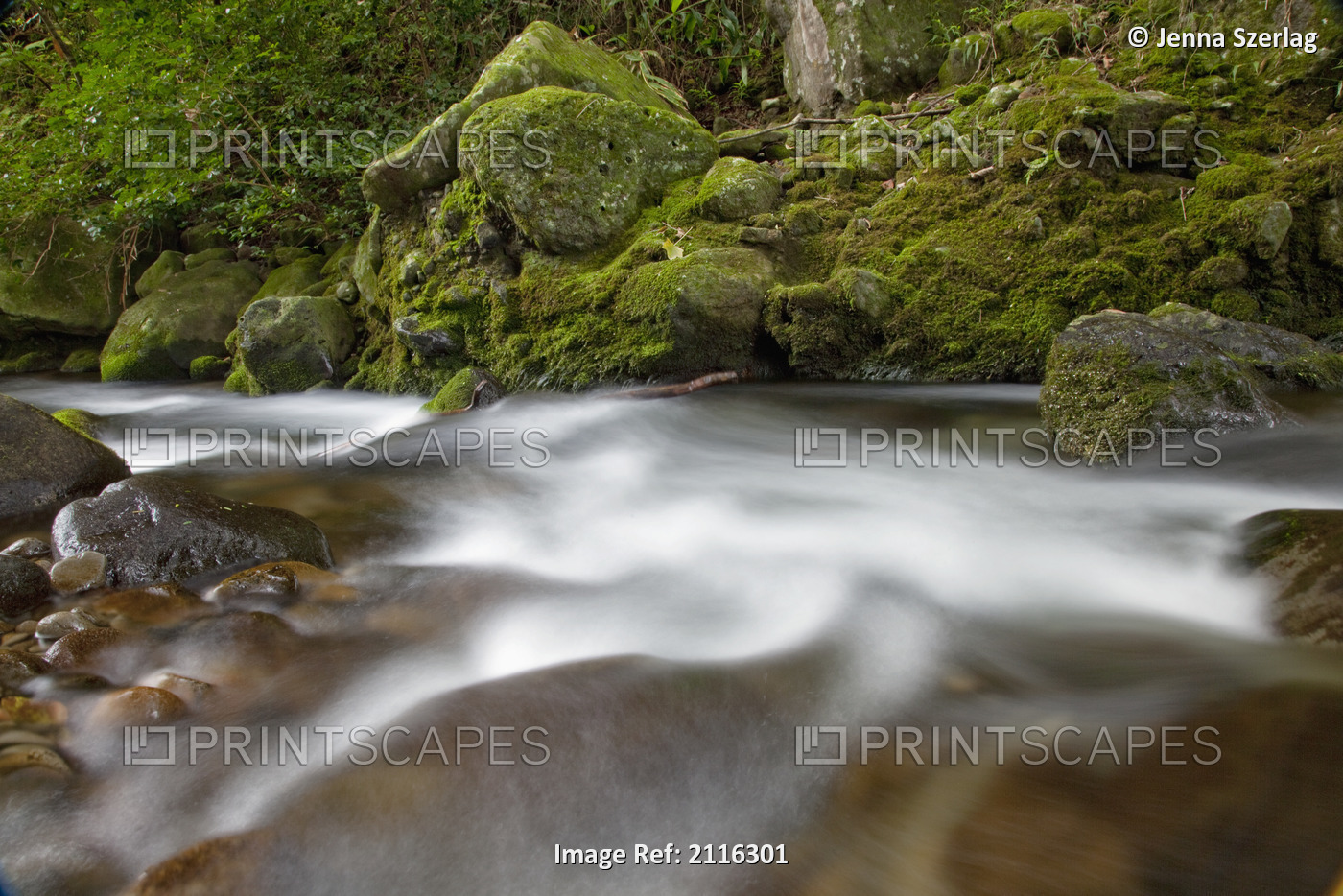 Hawaii, Maui, Iao River Valley, water in motion.