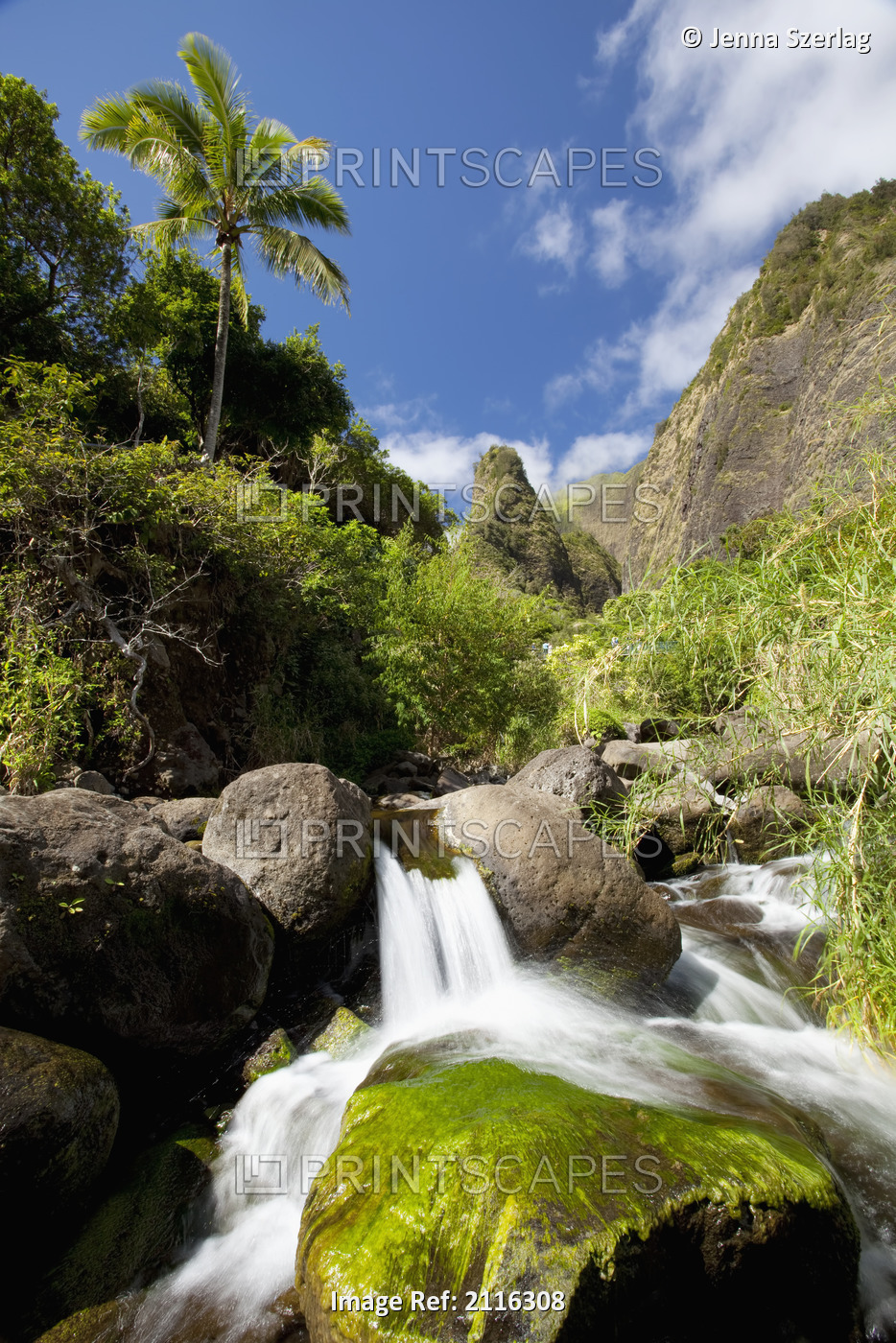 Hawaii, Maui, Iao River Valley waterfall.
