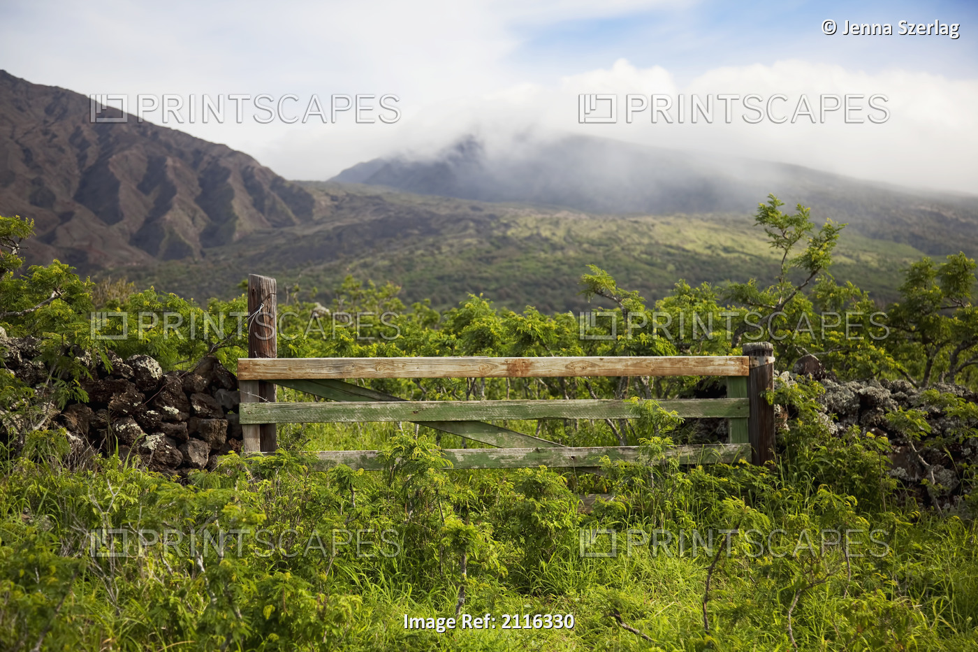 Hawaii, Maui, View of the lush Kaupo Gap.