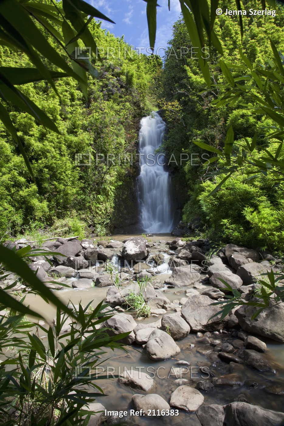 Hawaii, Maui, Hana, A waterfall surrounded by lush bamboo plants.