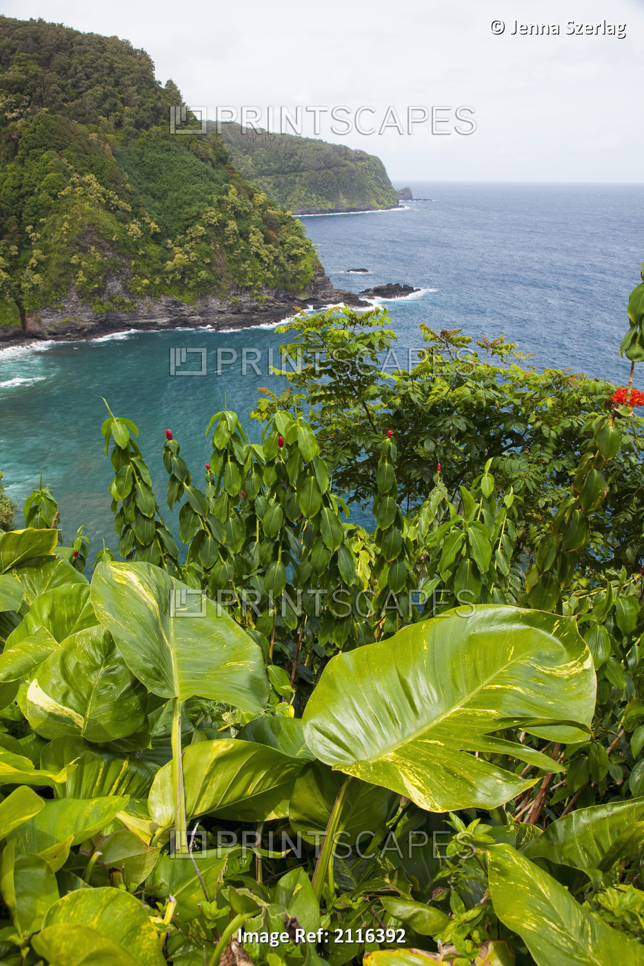Hawaii, Maui, Hana, A lush view of the green coast on cloudy day.