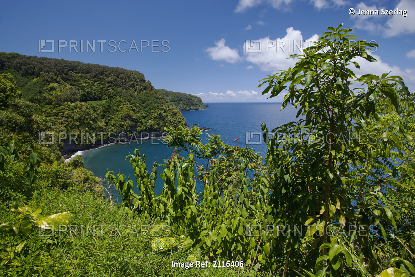 Hawaii, Maui, Hana, A sunny view of Hana's lush coastline with blue sky.