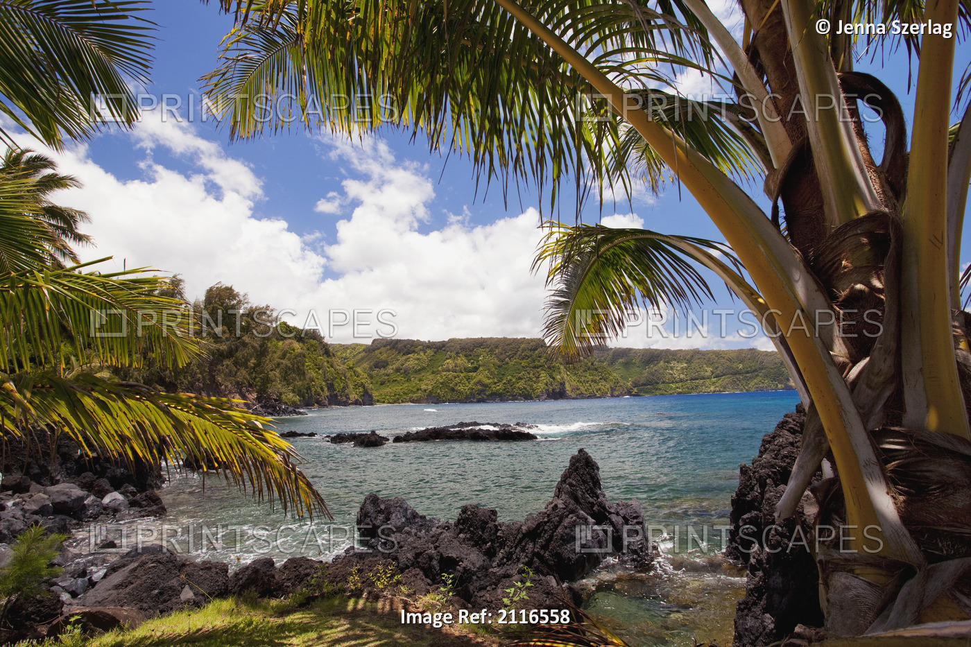 Hawaii, Maui, Keanae, Sunny blue skies light up the lush coast with palm trees.