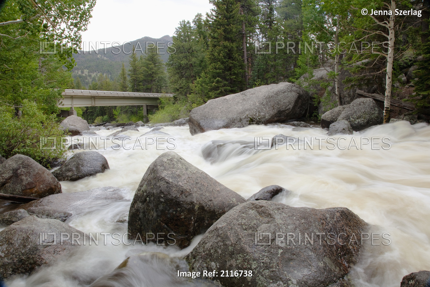 Colorado, Rocky Mountains, A bridge over a raging river with lush foliage.