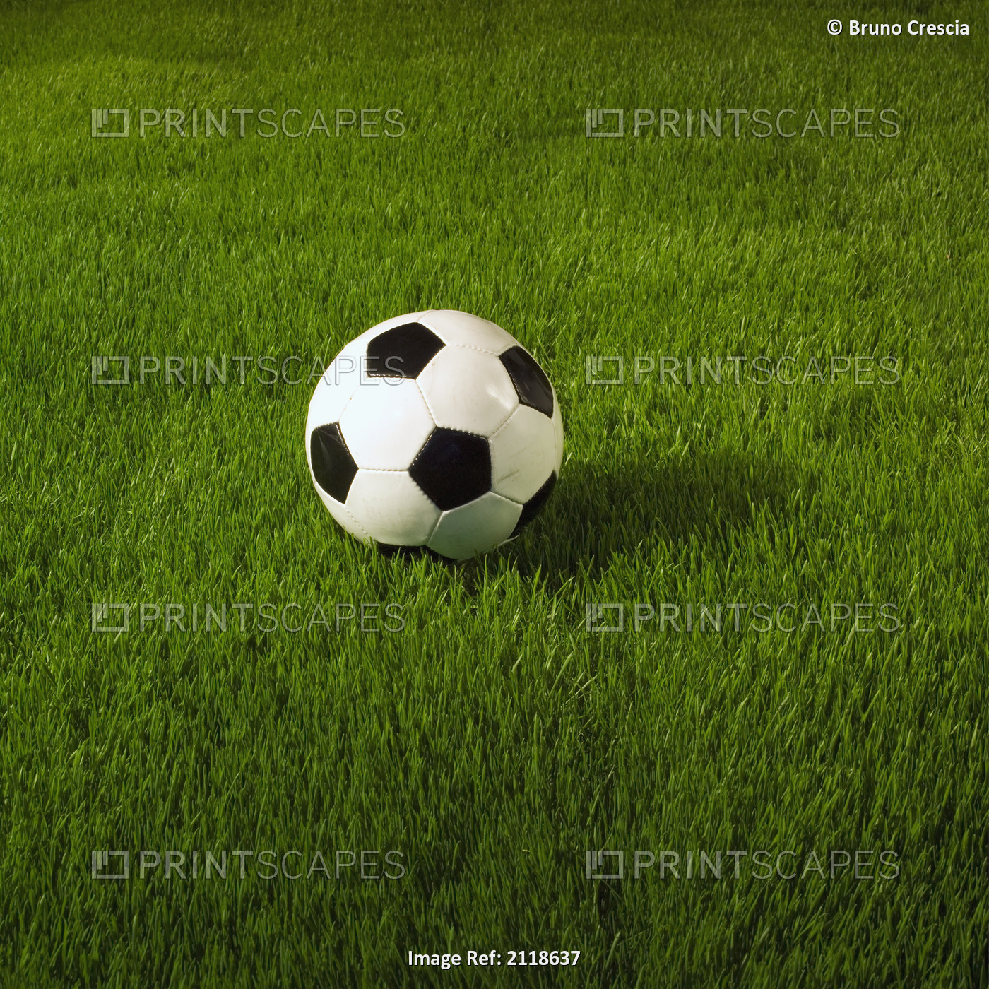 Soccer Ball On Grass
