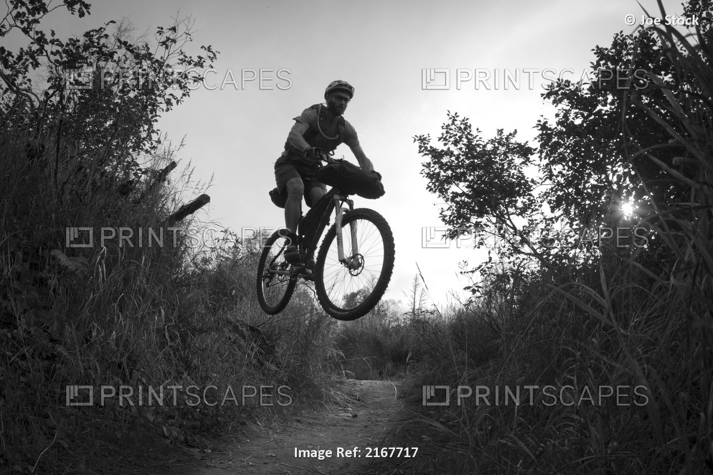 Man Mountain Biking And Making Jumps, Anchorage Hillside Trails, Southcentral ...