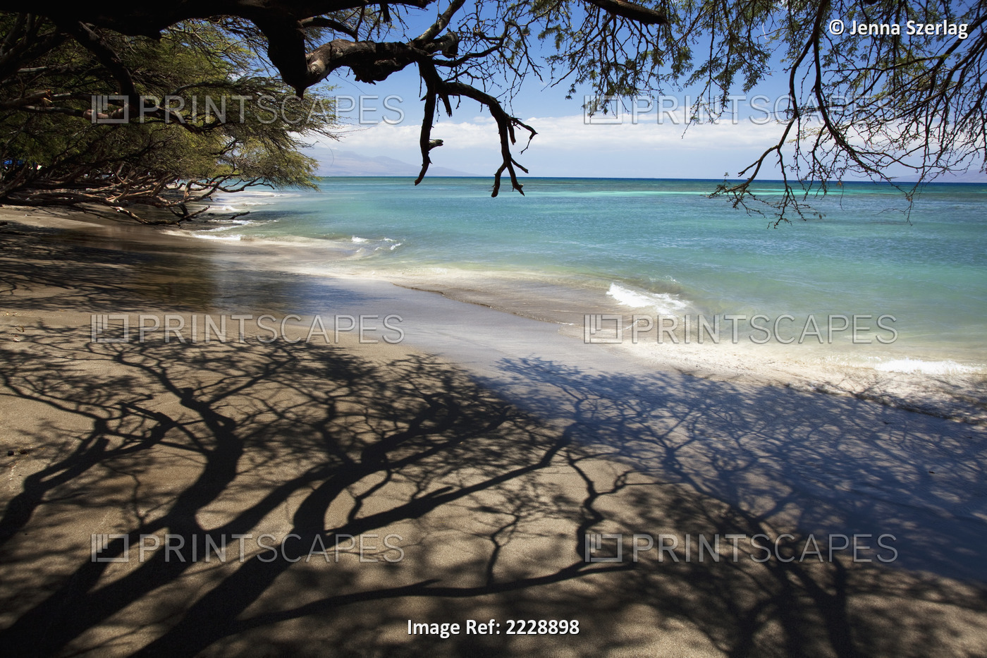 Hawaii, Maui, Olowalu, Gray Sand Beach With Shadows Of Tree Branches.
