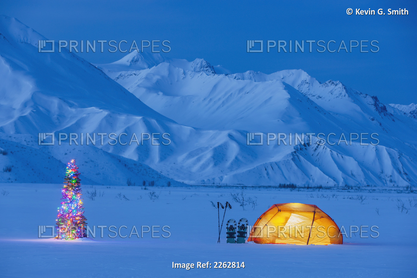 A Backpacking Tent Lit Up At Twilight With A Christmas Tree Next To It Alaska ...