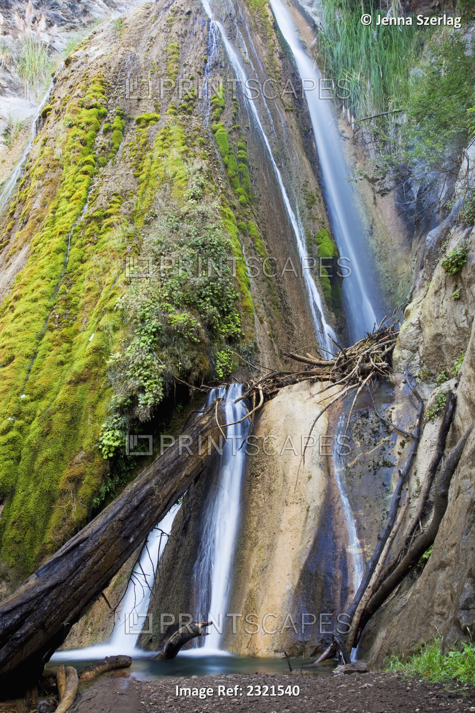 California, Big Sur, Limekiln State Park, Waterfalls And Lush Foliage.
