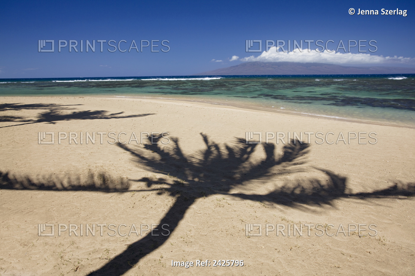 Hawaii, Maui, The Shadow Of A Palm Tree On A Golden Beach
