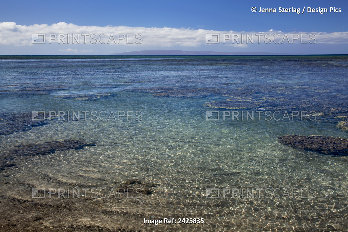 Hawaii, Maui, Olowalu, A View Of Coral In Clear Turquoise Ocean