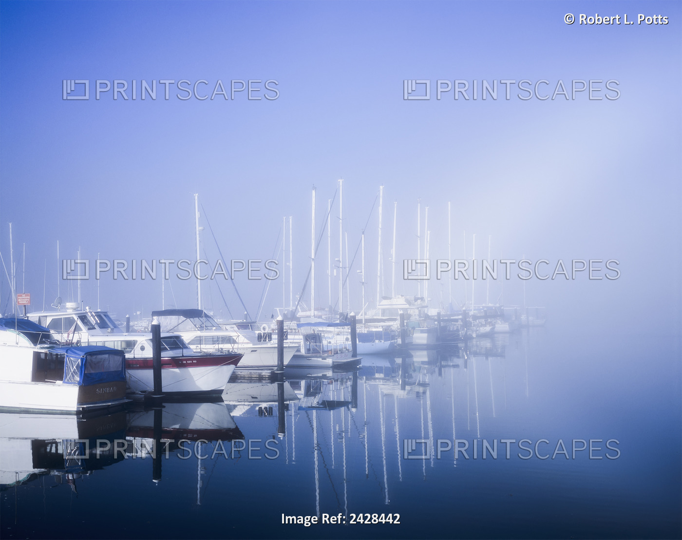 Docked Boats On A Foggy Morning, Winchester Bay; Oregon, United States Of ...