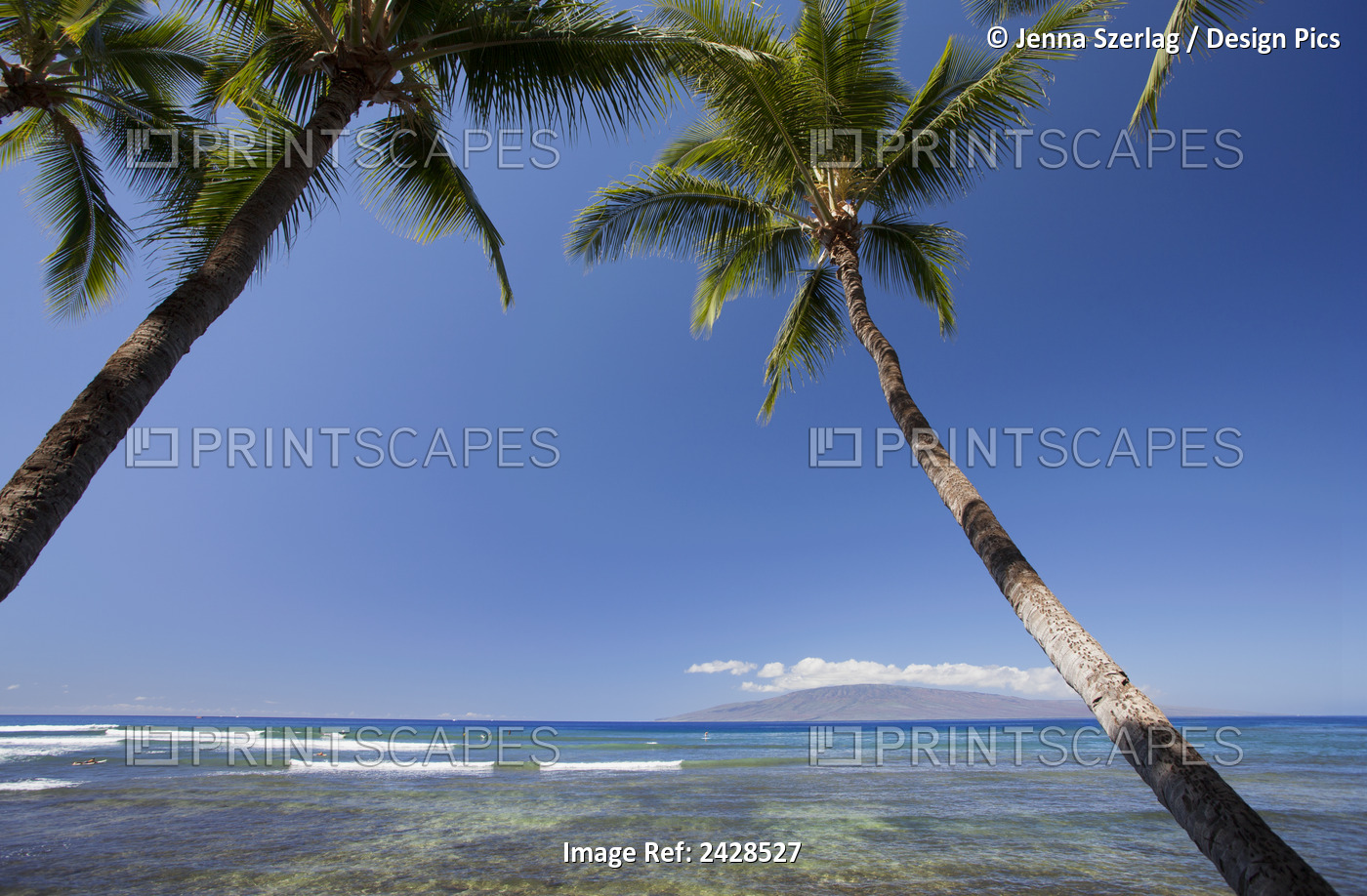 Launiupoko Shore With Palm Trees; Maui, Hawaii, United States Of America