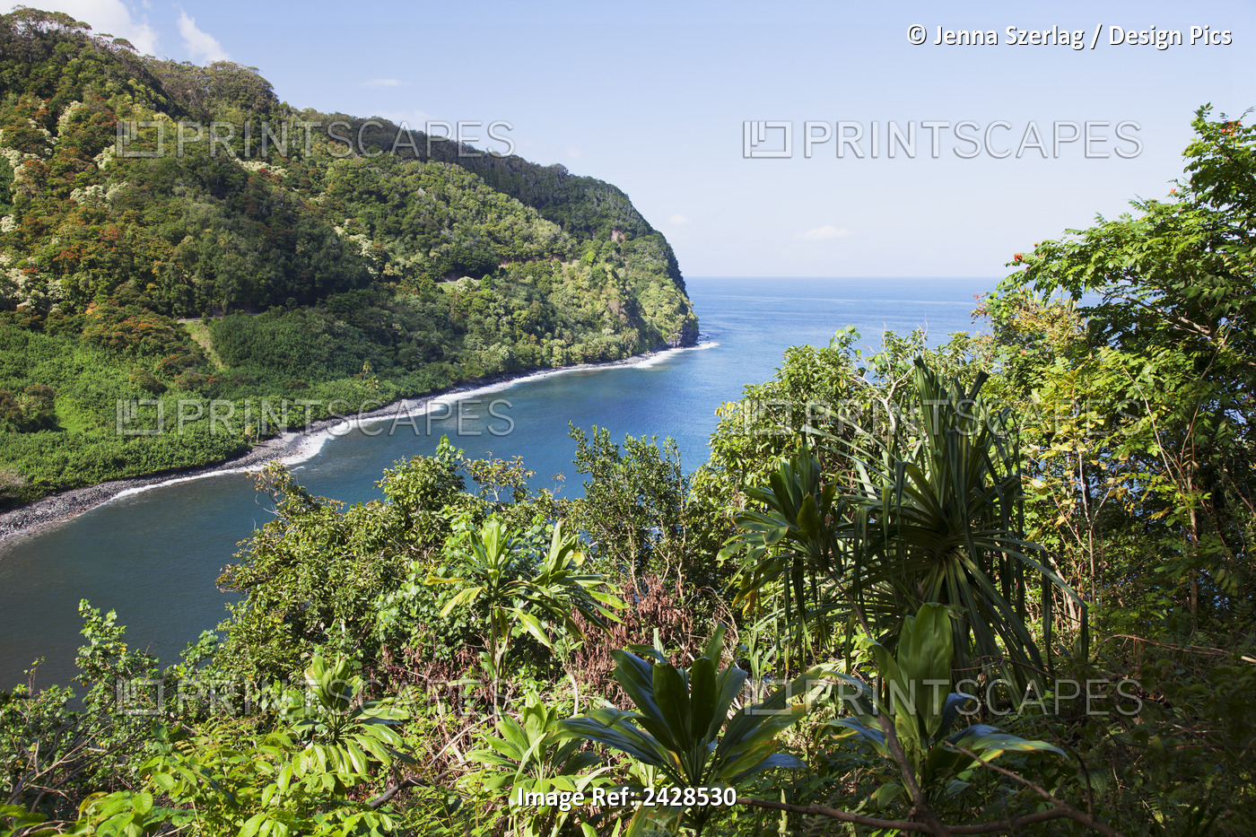 The Lush Green Cliffs Along The Road To Hana; Maui, Hawaii, United States Of ...