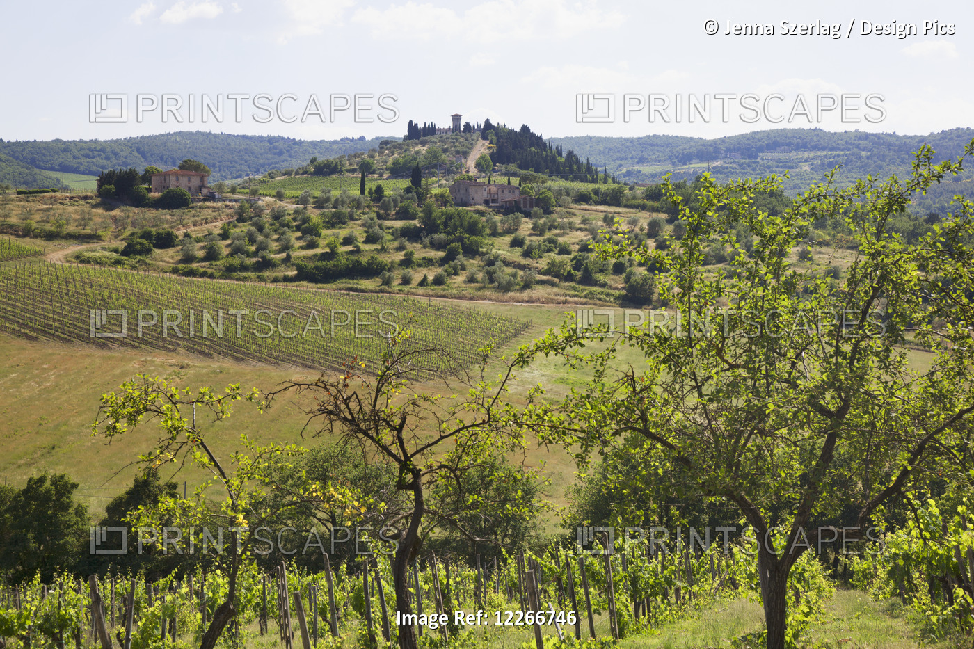 Chianti Countryside; Tuscany, Italy