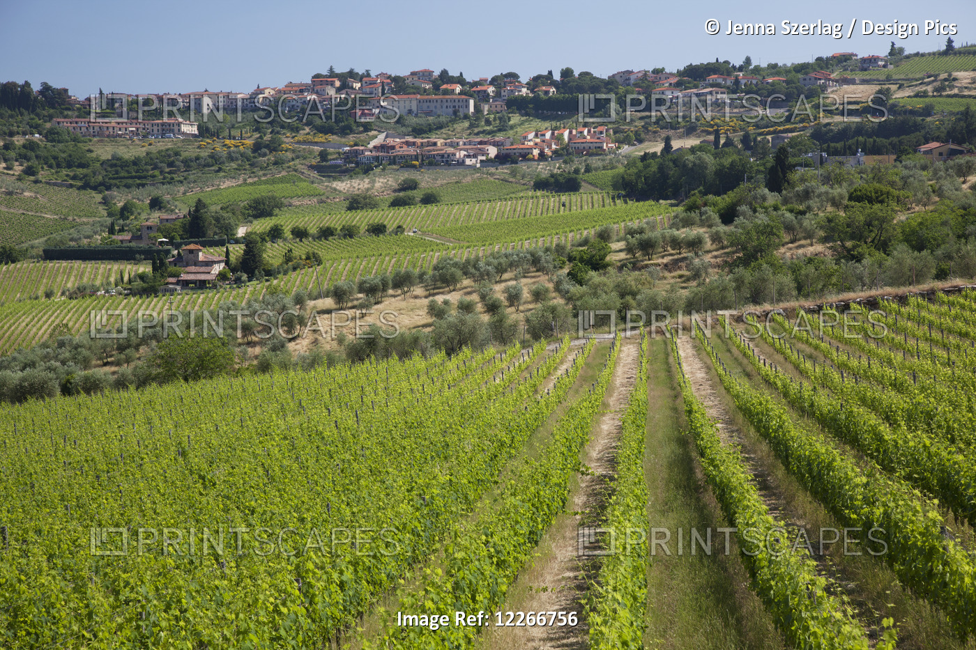Chianti Countryside; Greve, Chianti, Tuscany, Italy