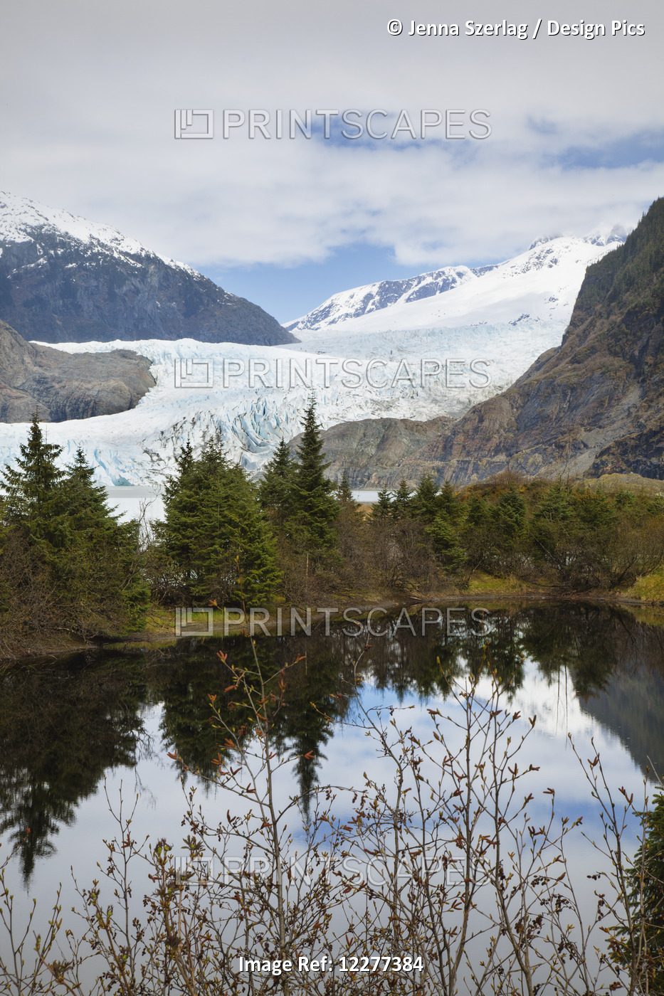 Alaska, Juneau, Mendenhall Glacier And Coast Mountains, Southeast Alaska, Summer