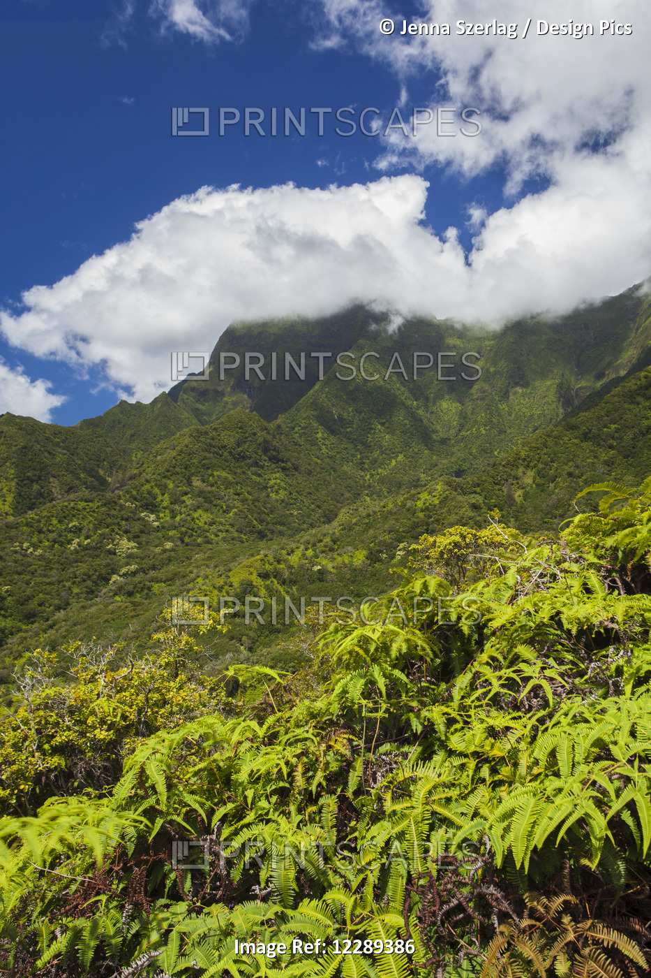 Miles Inside Of The Lush Iao Valley With Blue Sky; Maui, Hawaii, United States ...