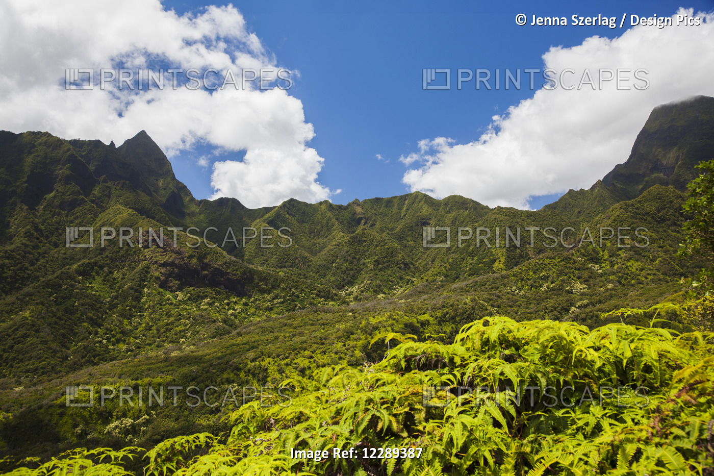 Miles Inside Of  The Lush Iao Valley With Blue Sky; Maui, Hawaii, United States ...