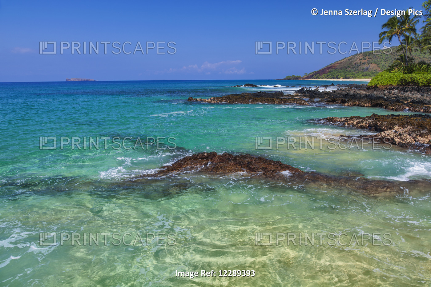 Makena Coast With Clear Ocean And Palm Tree; Maui, Hawaii, United States Of ...