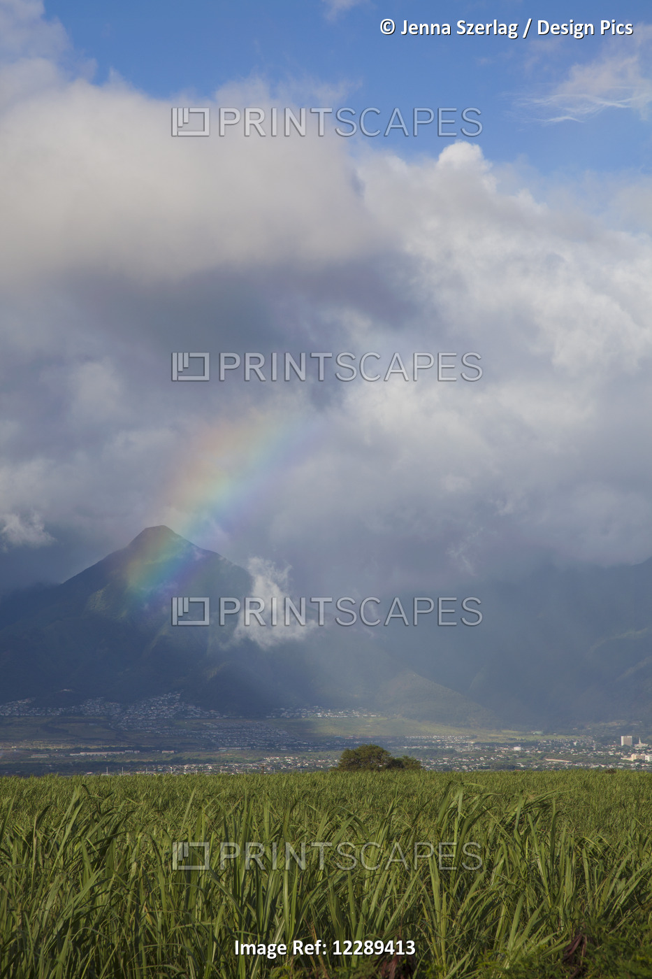 A Sunny Rainbow Over Wailuku; Maui, Hawaii, United States Of America