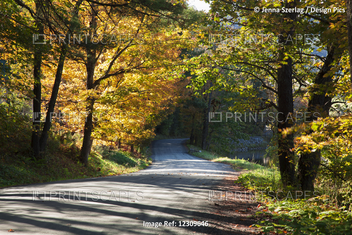 Country Dirt Road In Autumn; Woodstock, Vermont, United States Of America