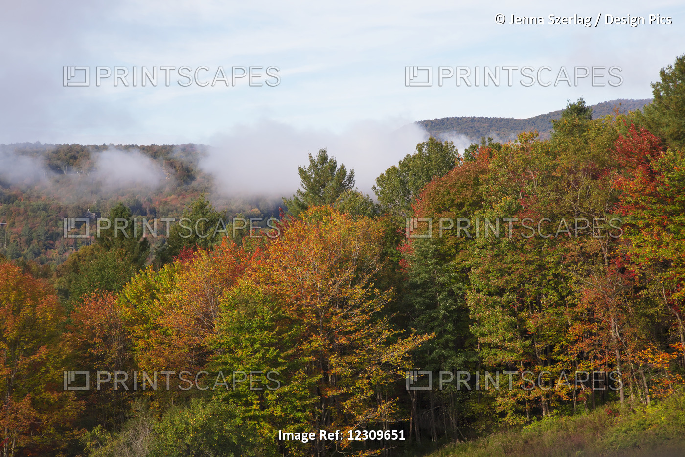 Foggy Morning In Autumn; Waterbury, Vermont, United States Of America