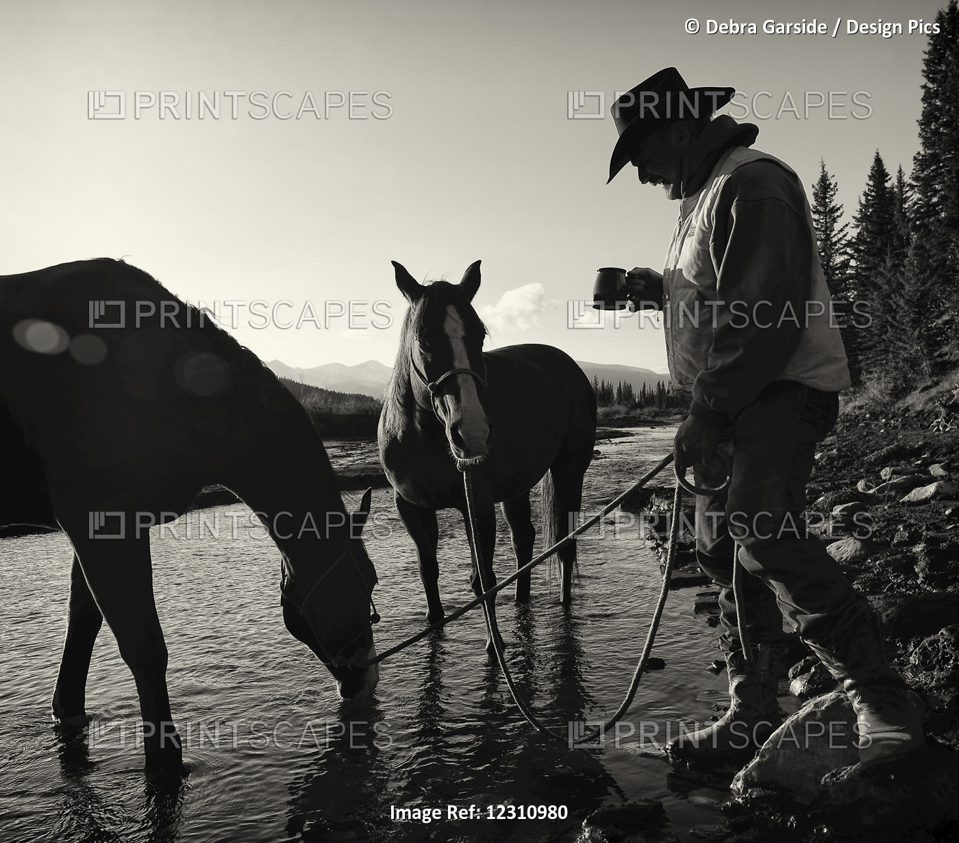 Cowboy Having His Morning Coffee At The Edge Of A River With His Horses, ...