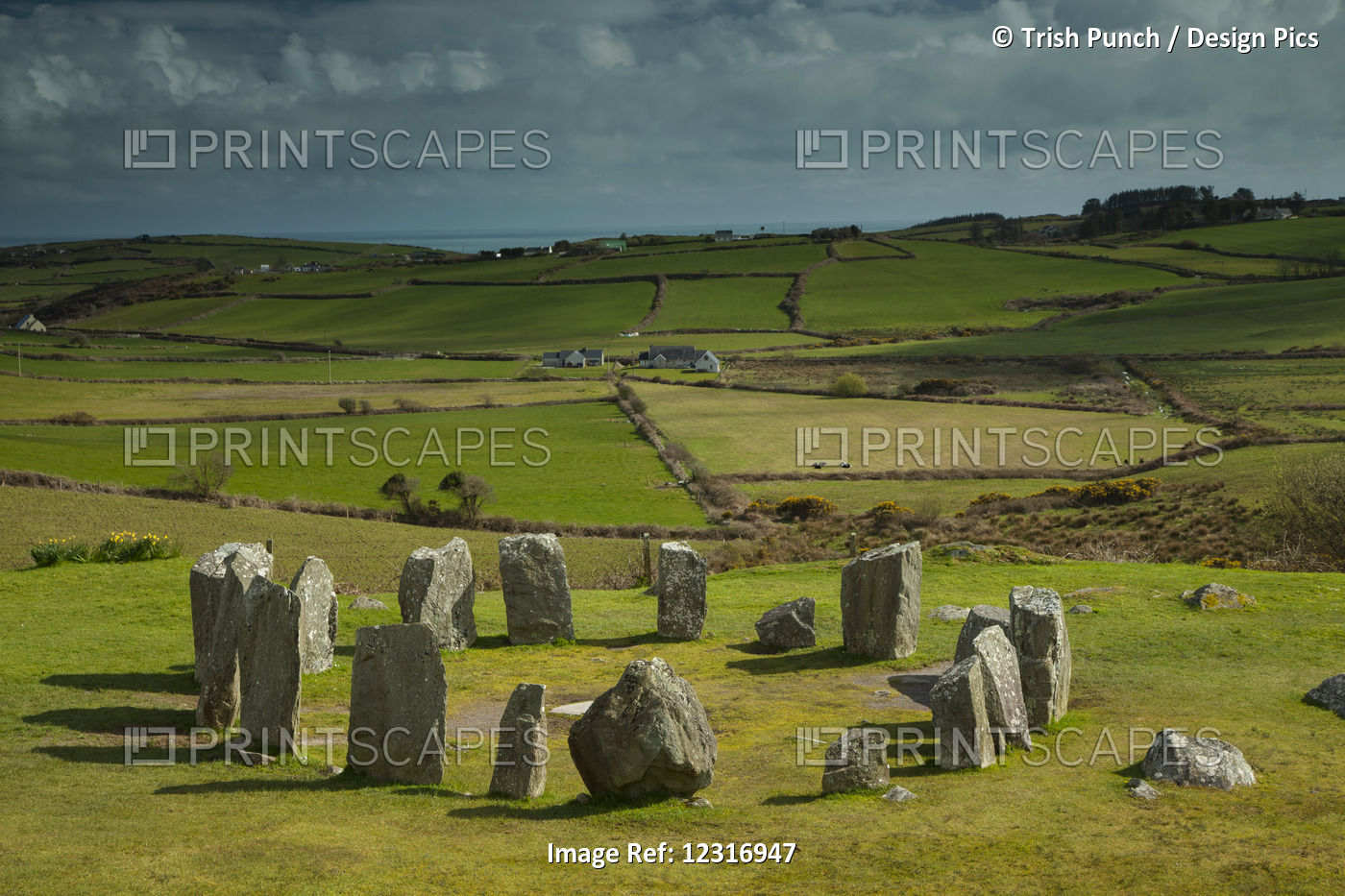 Drombeg Stone Circle Near Glandore On The Wild Atlantic Way, West Cork; County ...