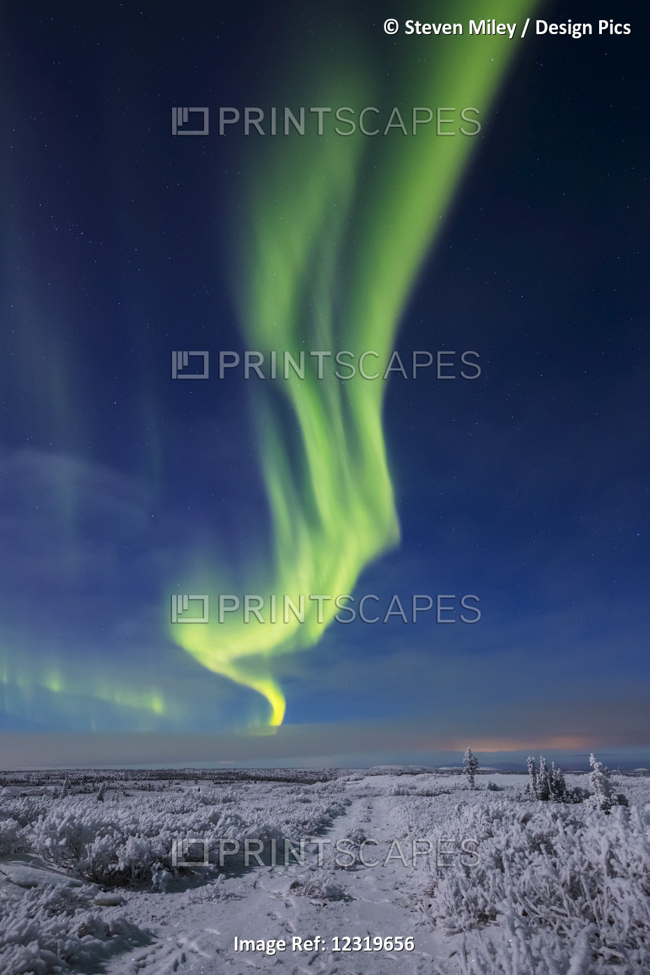 The Aurora Borealis Shines Above An Atv Trail Covered In Snow, South Of Delta ...