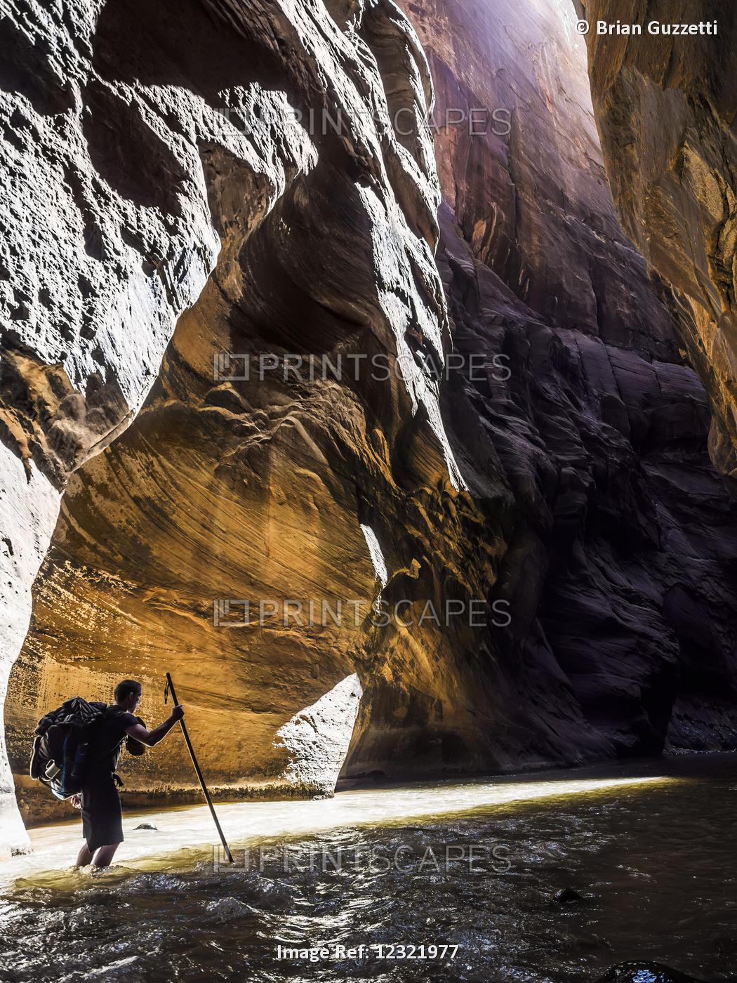 A Hiker Makes His Way Over The Rocky River Bottom Of The Virgin River Narrows, ...