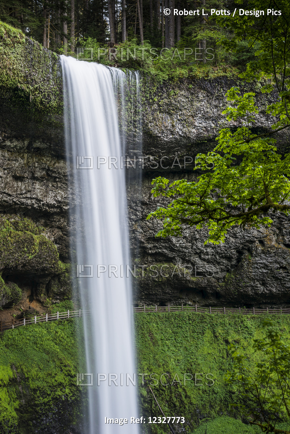 South Falls Is The Most Popular Waterfall At Silver Falls State Park; ...