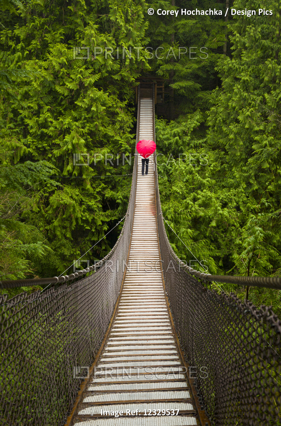 Woman With A Red Heart-Shaped Umbrella Crossing The Lynn Canyon Suspension ...