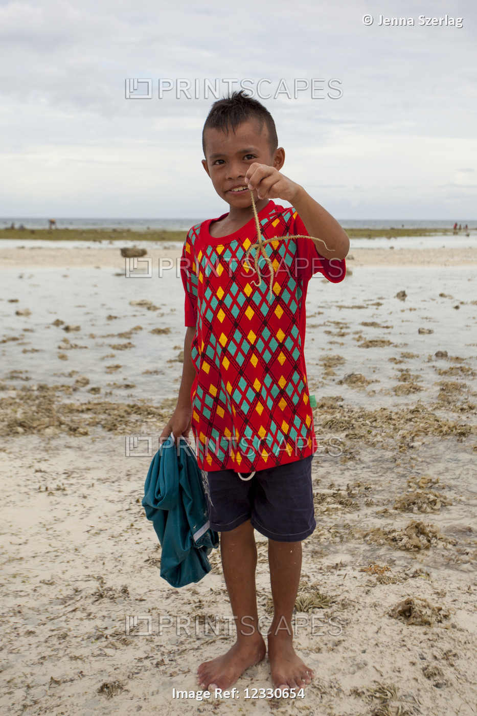 Young Boy Holds A Brittle Sea Star Out Of The Water; Anda, Bohol, Central ...