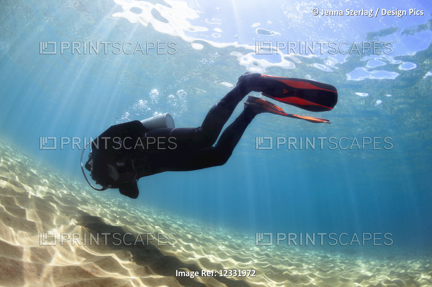 A male scuba diver in bright blue water; Makena, Maui, Hawaii, United States of ...