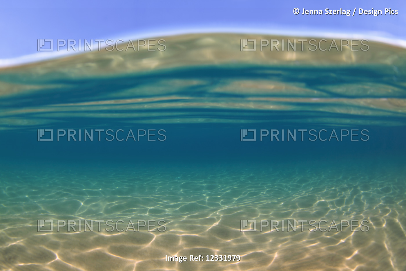 Split view of the blue sky, ocean surface and underwater; Maui, Hawaii, United ...