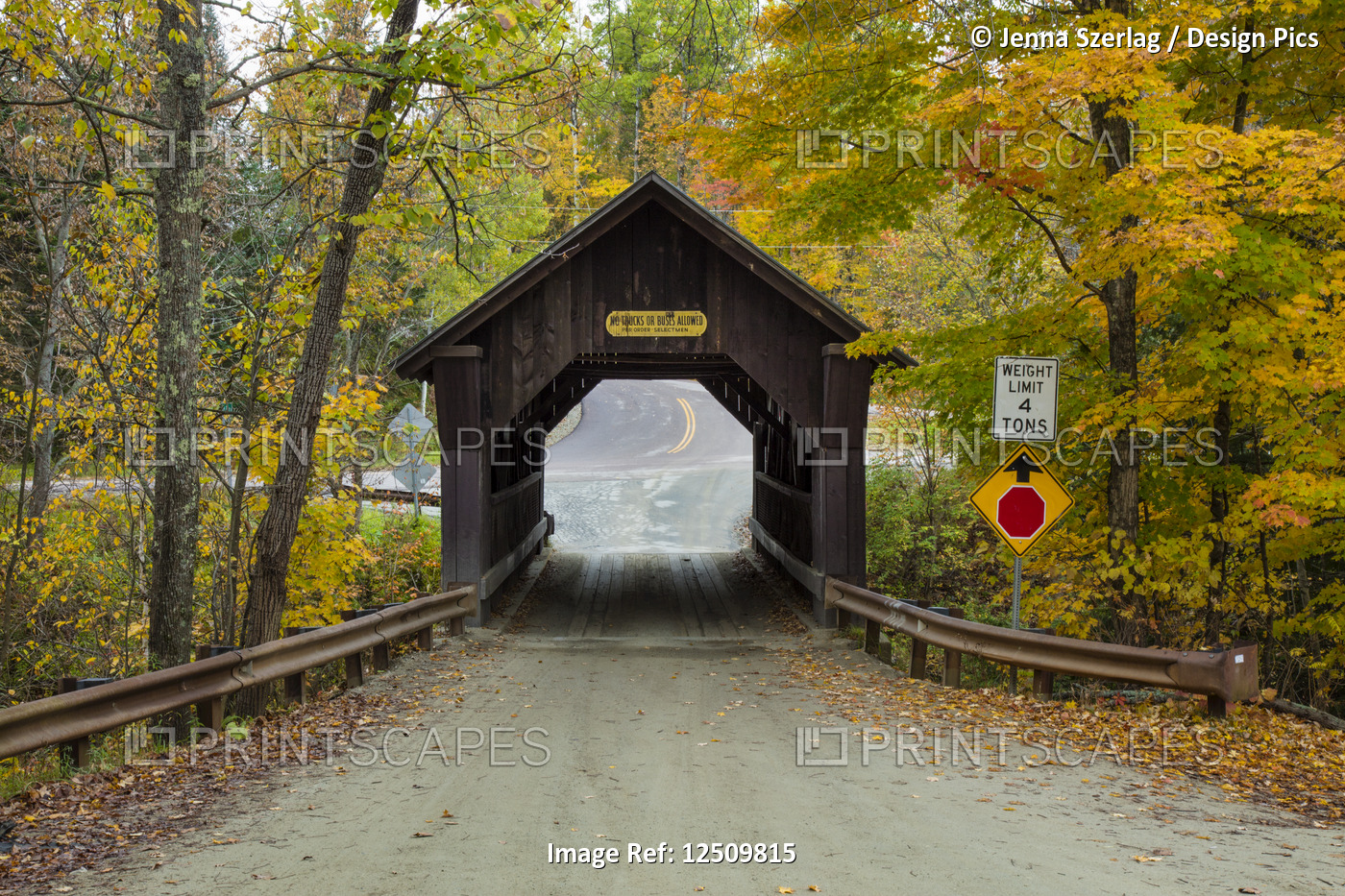 A covered bridge on a back country road in autumn, Green Mountains; Stowe, ...