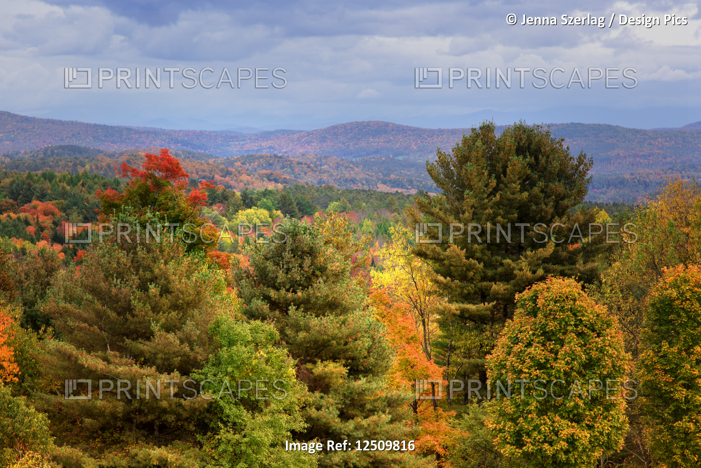 View of rolling hills with vibrant autumn coloured foliage under cloudy sky, ...