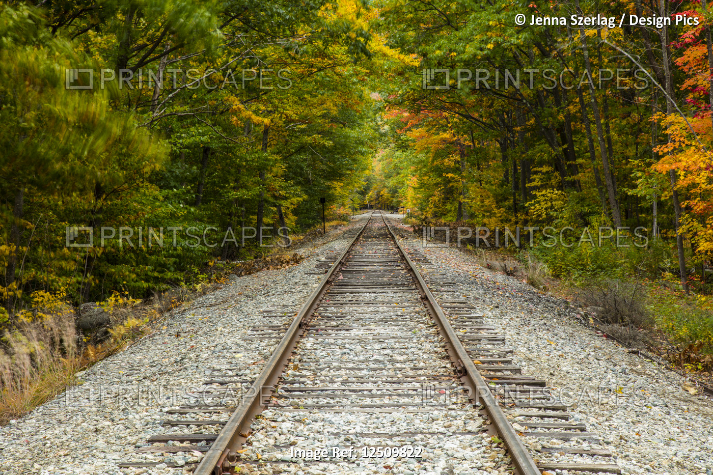 Railroad tracks along the Saco River lined with trees in autumn coloured ...