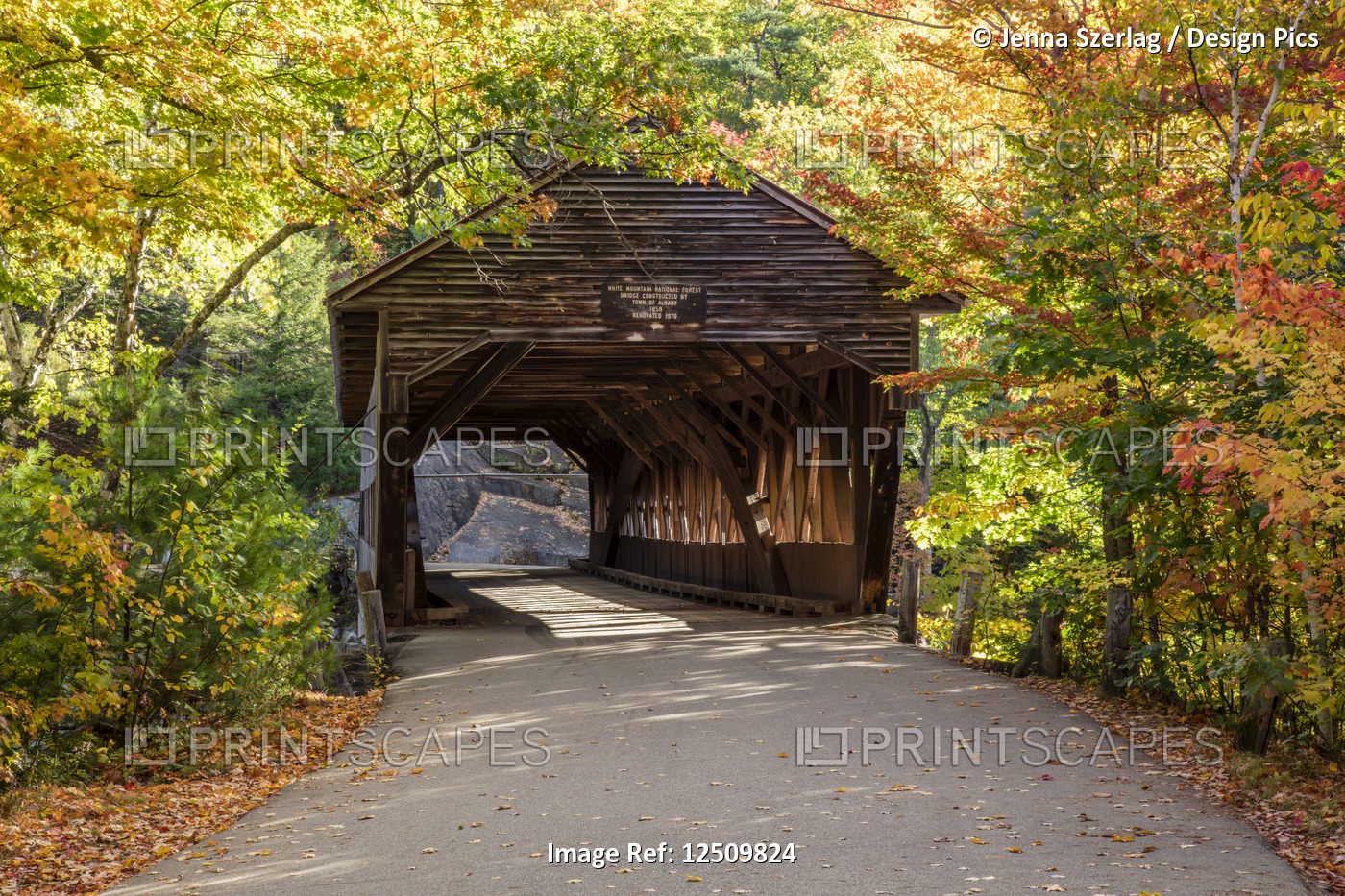 A covered bridge on a back country road in autumn, White Mountains National ...