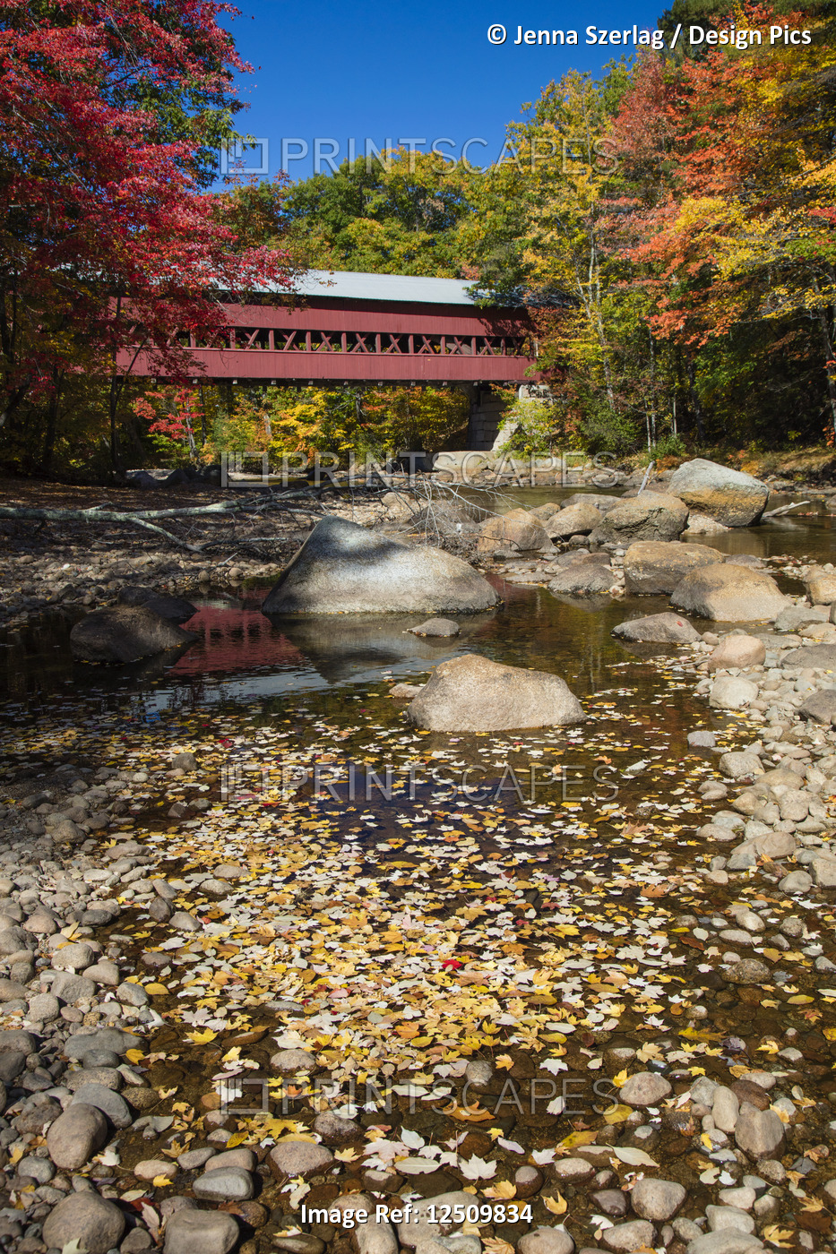 Saco River and covered bridge in autumn, White Mountains National Forest; ...