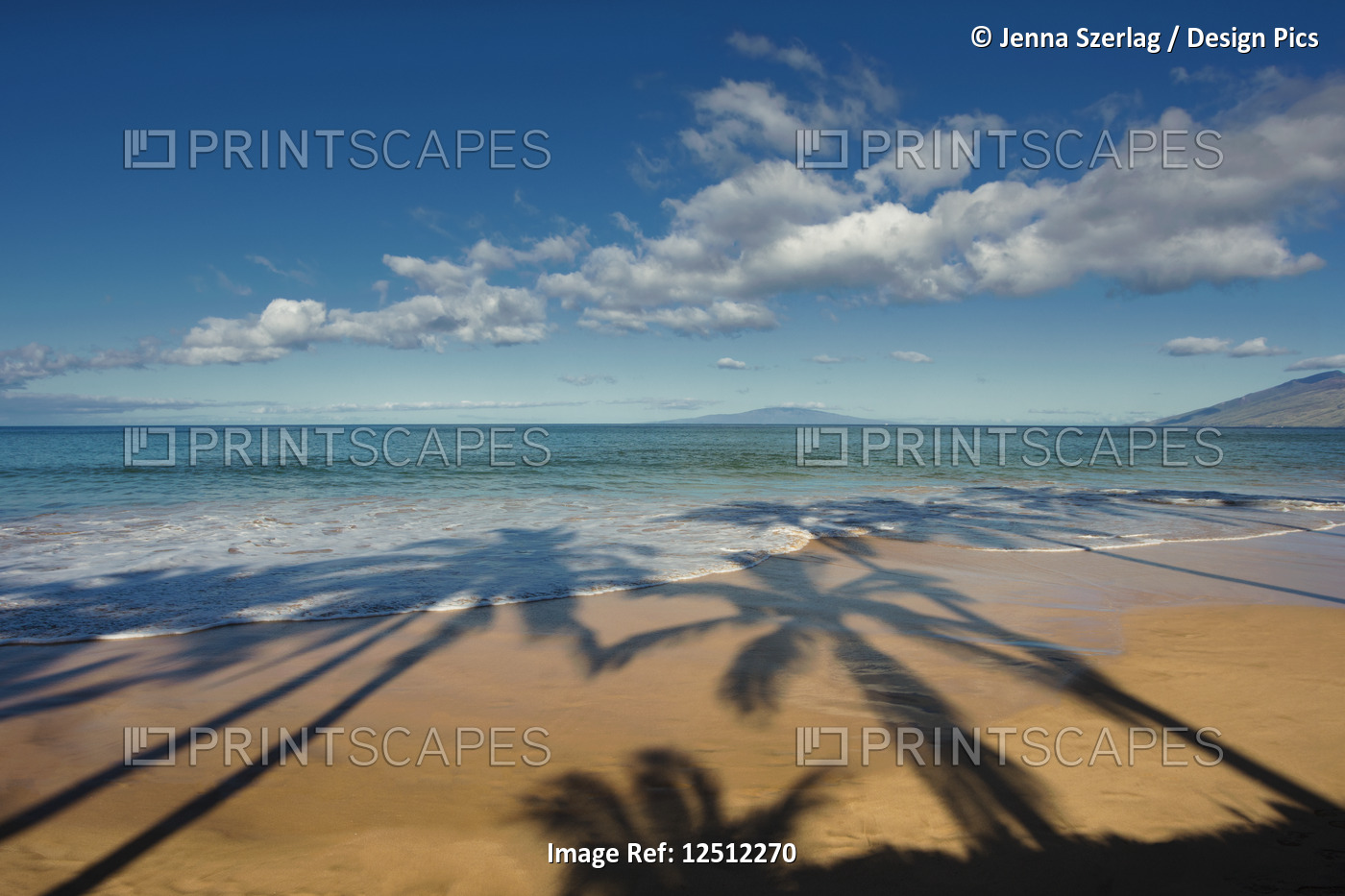 Shadows of palm trees on a beach on a sunny day; Maui, Hawaii, United States of ...