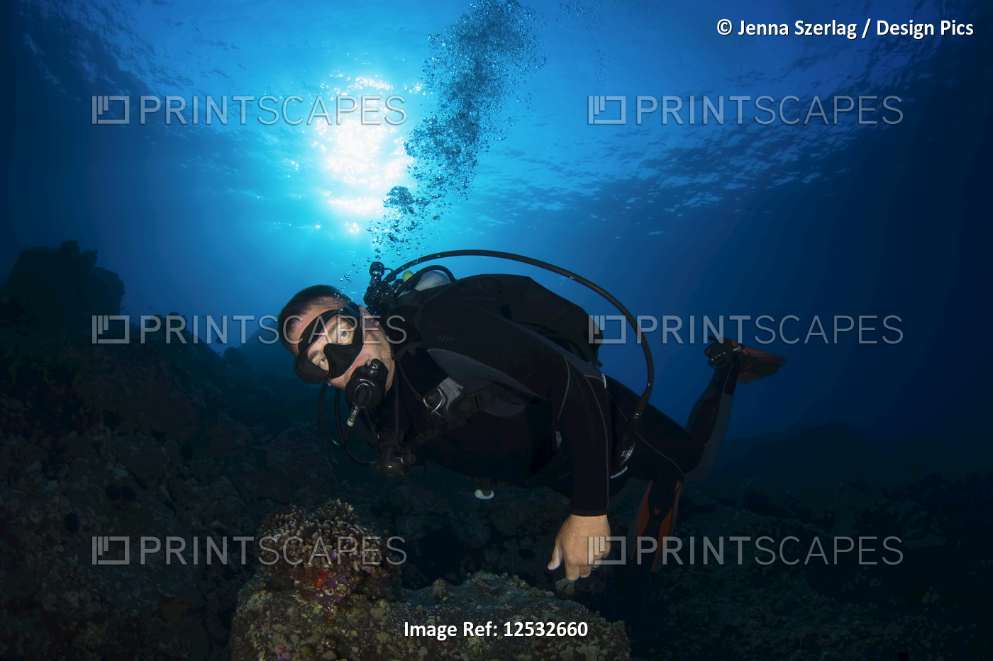 Male diver with sun over ocean surface; Island of Hawaii, Hawaii, United States ...