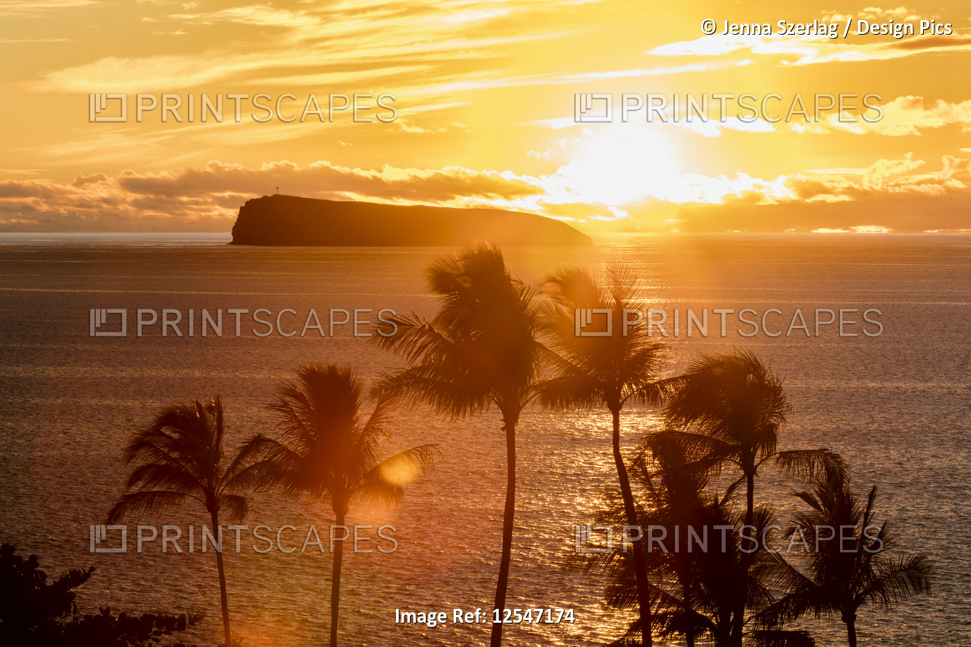 The Sunsets Behind Molokini Island With Palm Trees, Makena, Maui, Hawaii USA